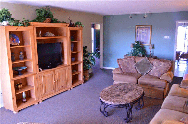 Three-Bedroom Penthouse (Type 9)  Living Room